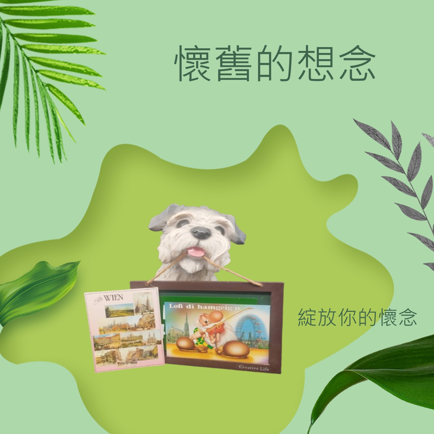 明信片